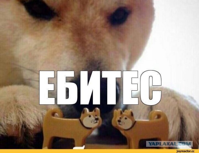 ⚡️Украина должна немедленно согласиться на предложенные Путиным переговоры в Турции, заявил Трамп