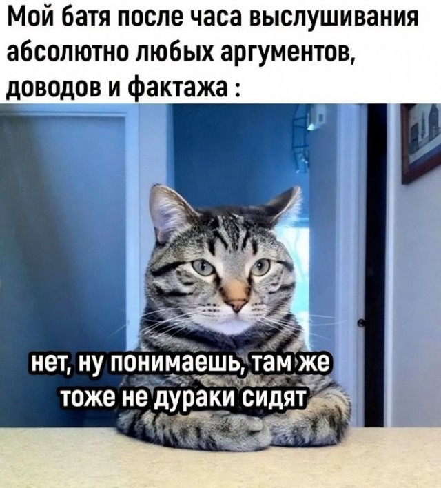 Веселые картинки в маленькую среду (30.07)