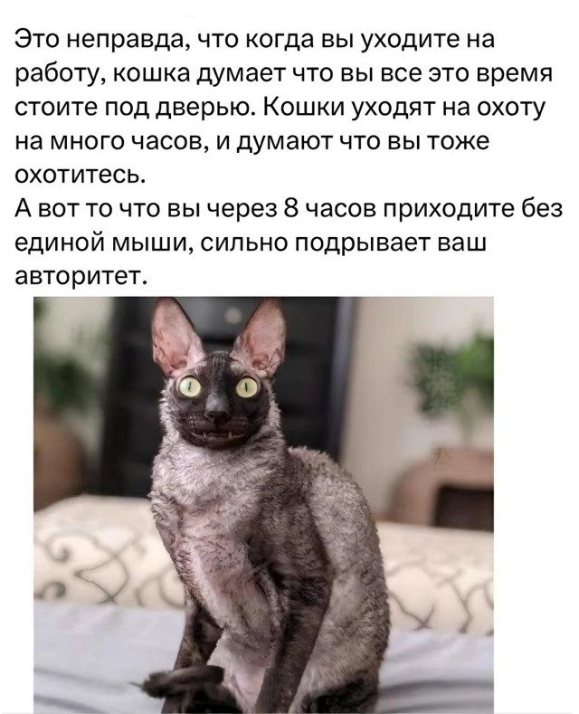 Так себе картинки 05.08.25