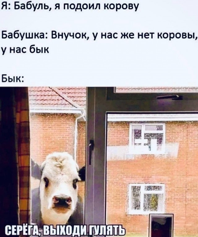 Веселые картинки в понедельник (25.08)