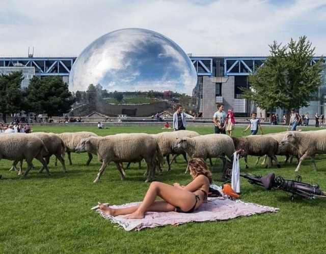 ФотоВинегрет