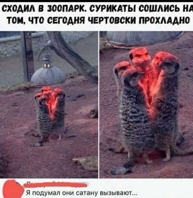 Так себе картинки 06.11.25