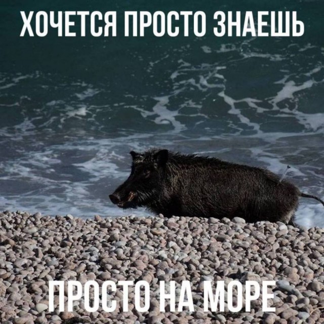 Дегрономикон  депрессивный 3