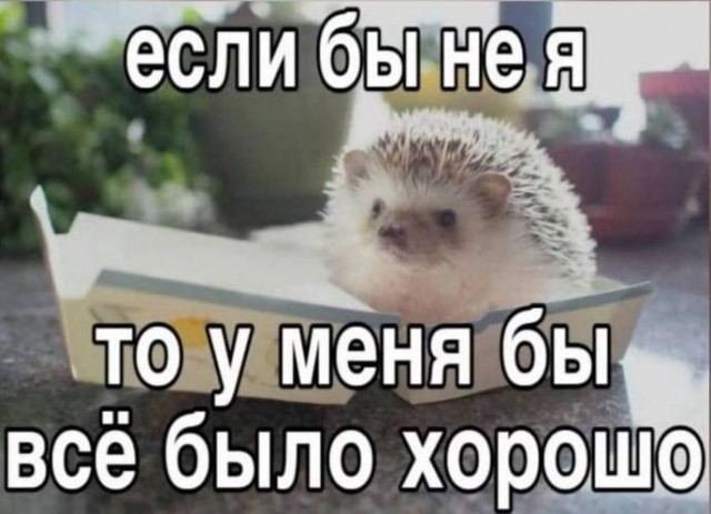 Пройдусь по абрикосовой, сверну не деградантную