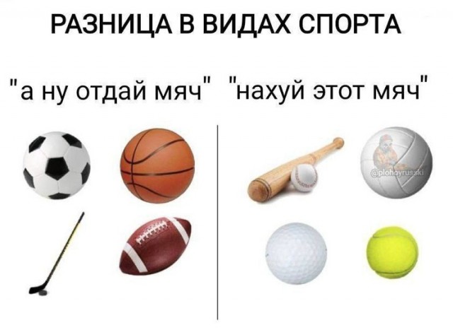 Так себе картинки 29.01.26