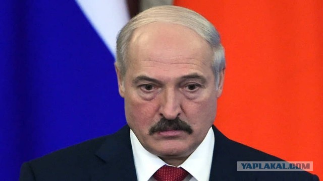 Горы картофеля бесплатно раздают в Германии из-за рекордного за 25 лет урожая