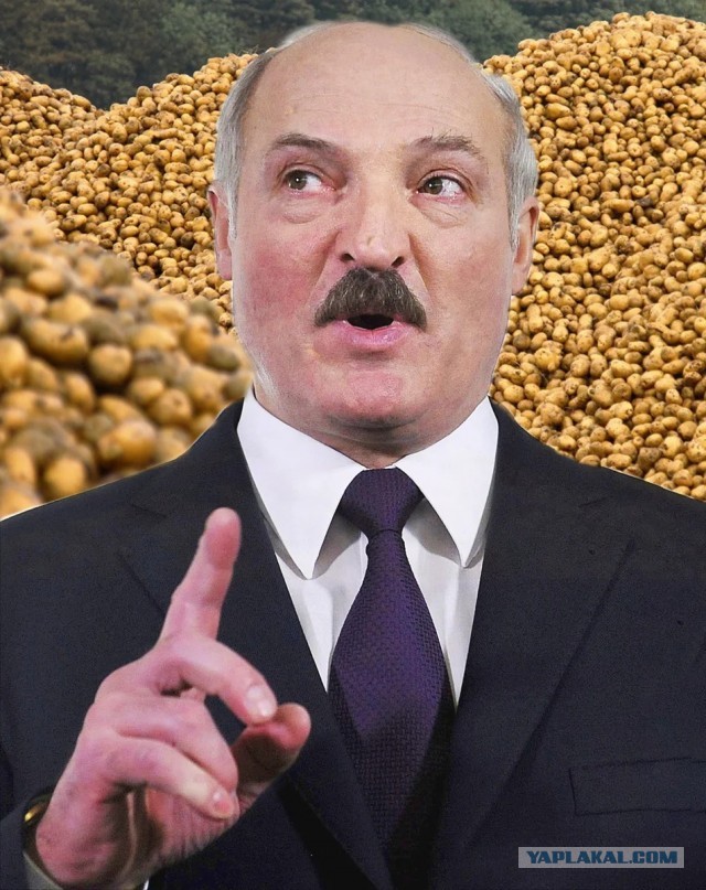 Кто собирается в Шри-Ланку, берите с собой картошку