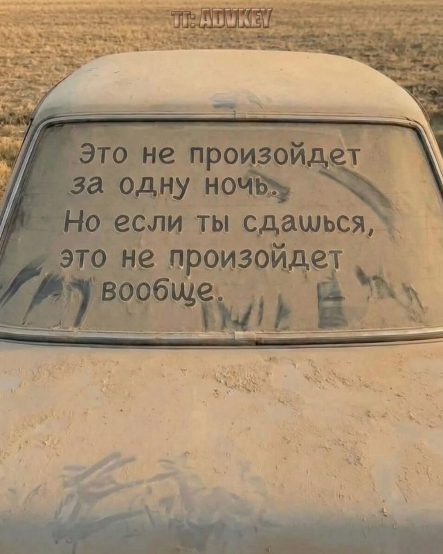 Прикольные и просто красивые картинки 03.04.2026