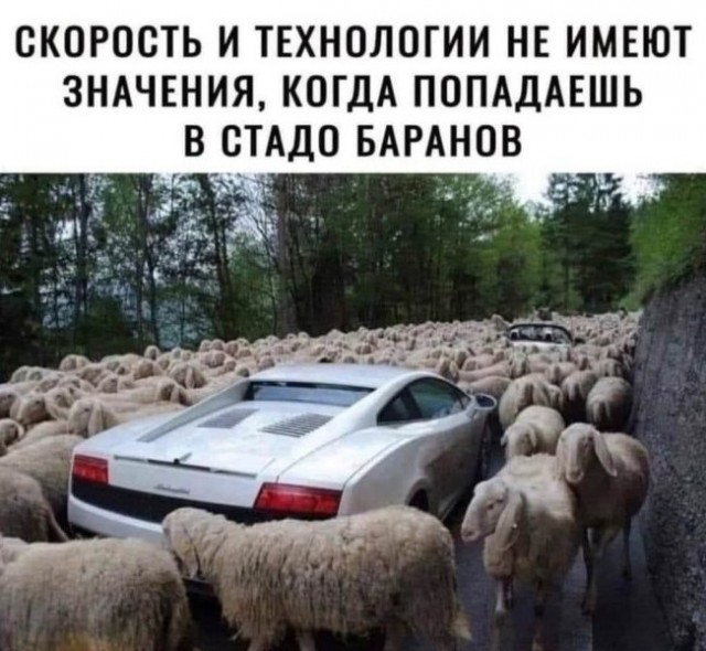 Картиночки, баянчики 10 июня