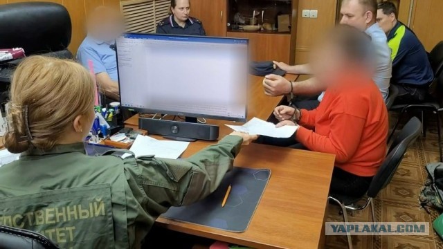 Зарезала и убежала в лес ? Женщину обвиняют в убийстве 4-летней племянницы.