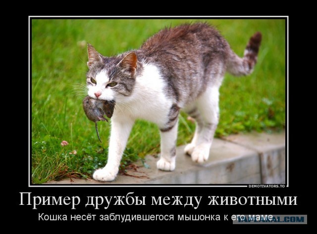 Всех с Днем Дружбы. Давайте поиграем в игру!