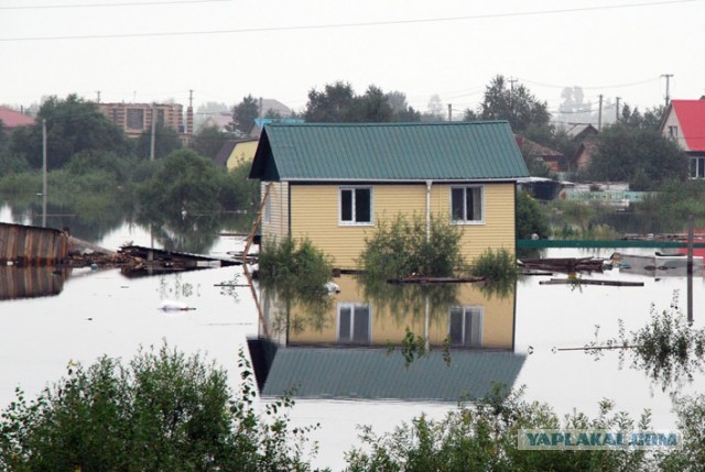 На Благовещенск идет волна?