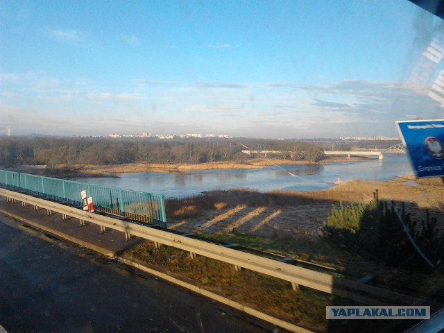 Где яблоки растут!