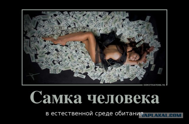 Подборка прикольных фото.