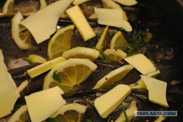 International одной книги., В память о Дженибеке.