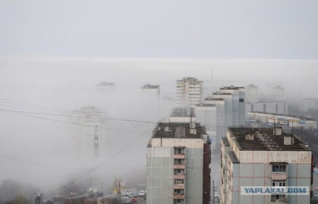 Утренний туман во Владивостоке