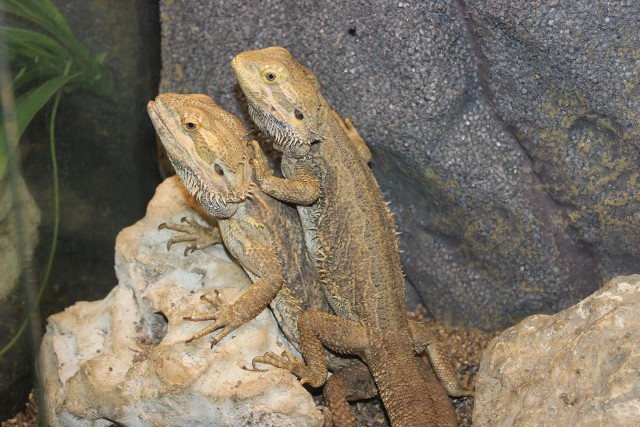 Отчёт о поездке в Крым 12.07 - 29.07