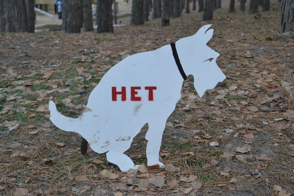 В Москве появится говняный патруль
