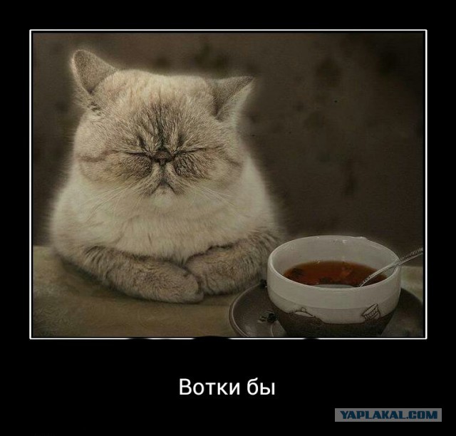 Картинка к пятнице