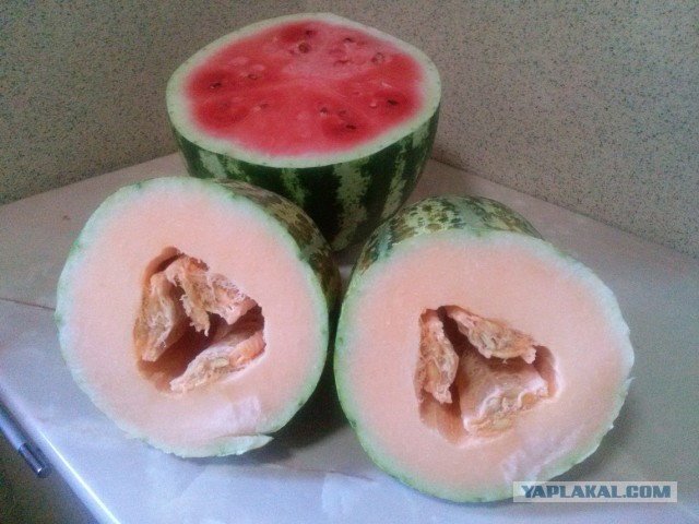Кызылорда