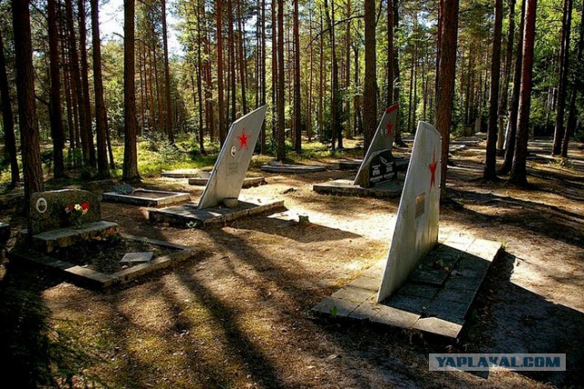 Необычное кладбище советских летчиков в Эстонии