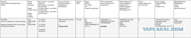 Происшествие в парке