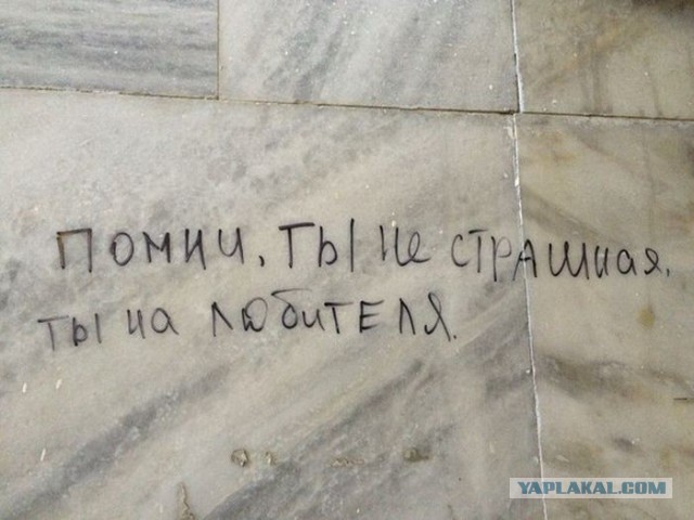 Ужасы и приколы из соцсетей 18+