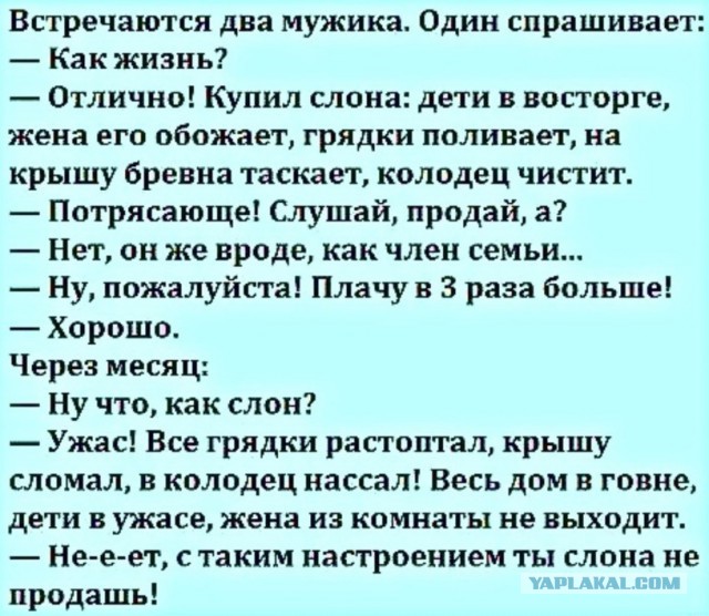 Подборка веселых картинок на выходные