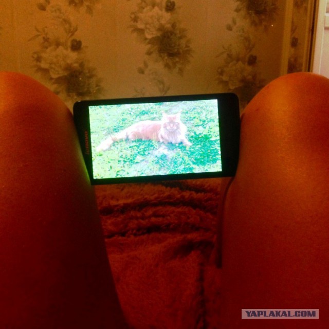 Самые смелые яповки
