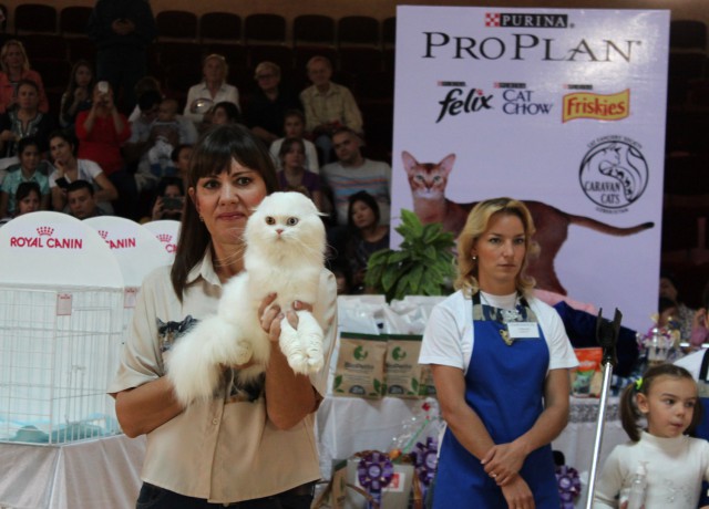 «Осенний Кошкент-2016»