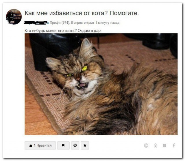 Ужасы и приколы из соцсетей 18+