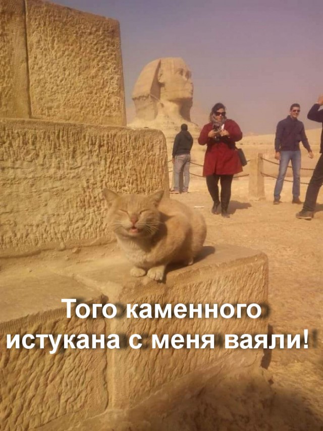Весёлые картинки 13.01.2017