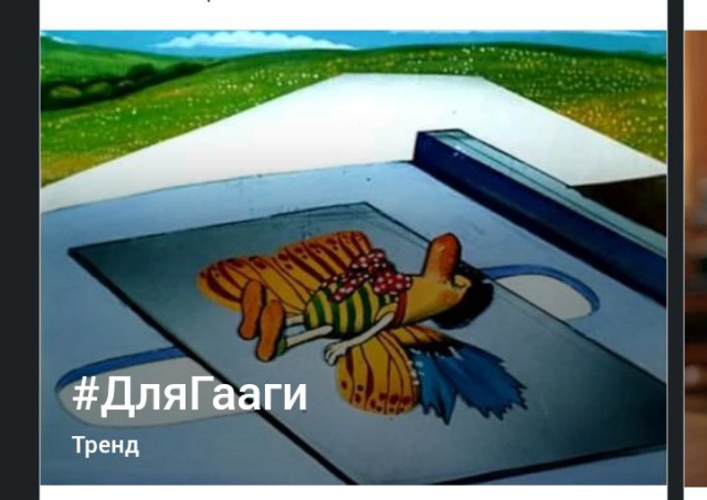 Хроники Лимпопо