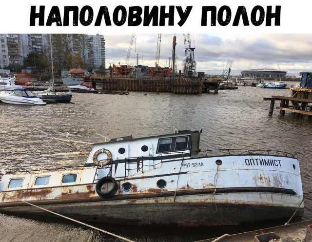 Подборка интересных и веселых картинок