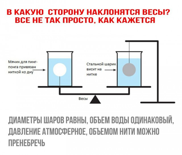 Познавательная Редеградация