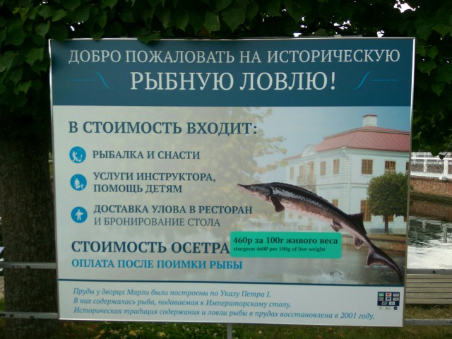 Диалоги о футболе, спорте, хобби.