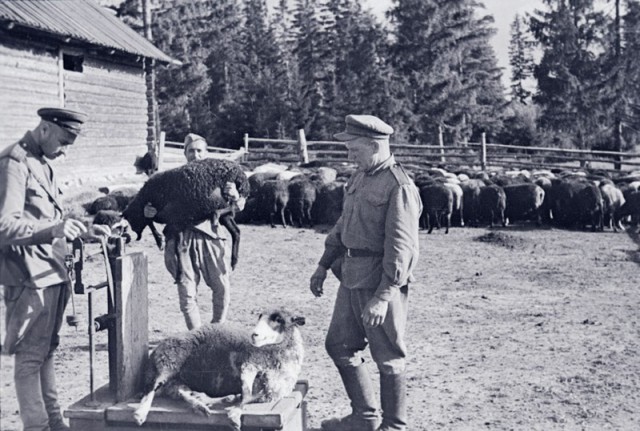 Подборка старых фотографий