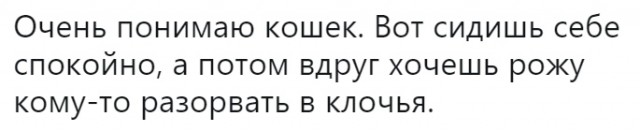 Не очень адекватный юмор