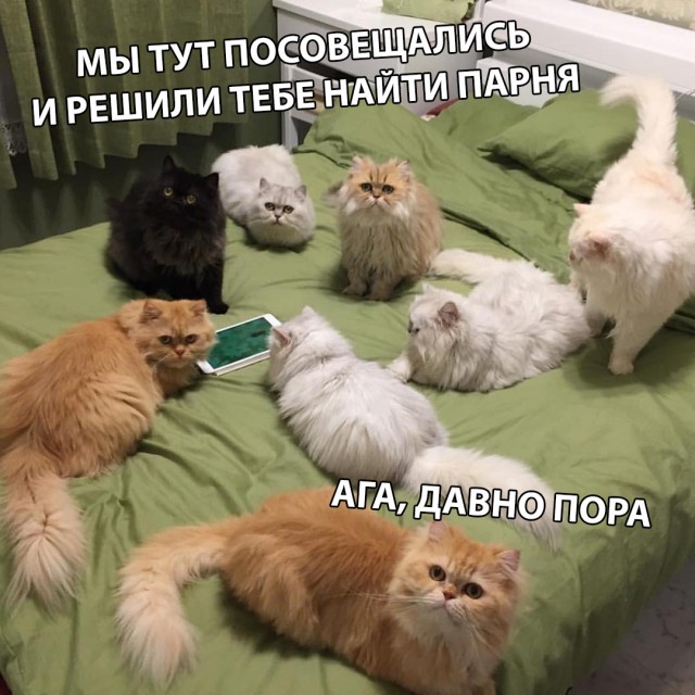 Немного милоты