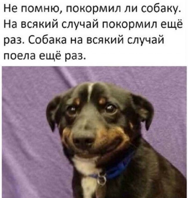 Картинки с надписями, истории и анекдоты 27.08.19