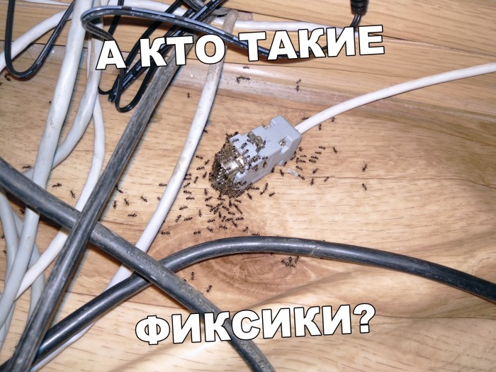 Несколько картинок для настроения