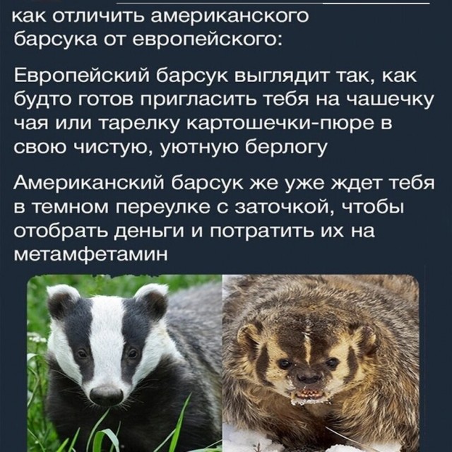 Картинки с надписями и всякие жизненные фразы