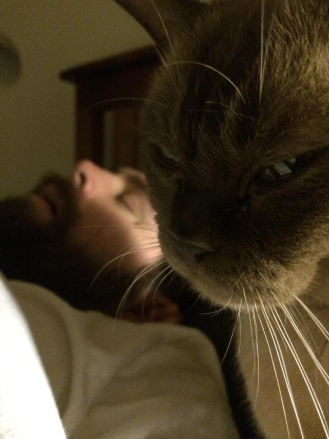 Калейдоскоп картинок