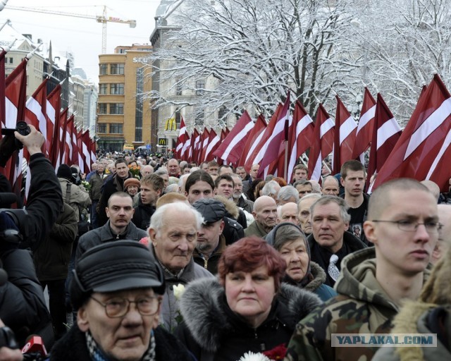 В Киеве анонсировали марш вышиванок в честь дивизии СС "Галичина"