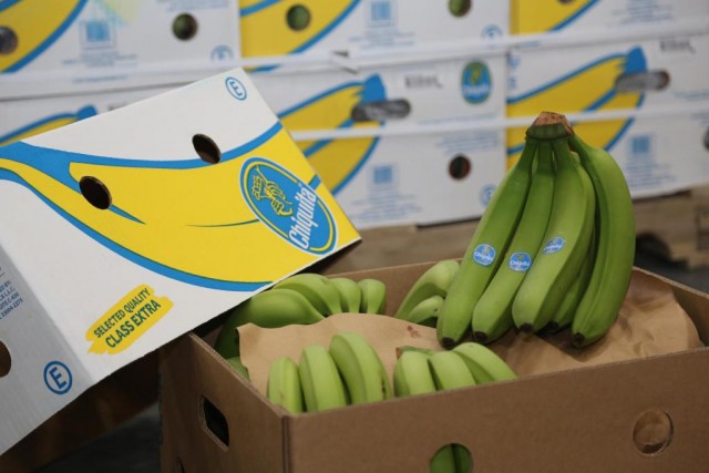 В порту Эквадора обнаружили наркотики в грузе бананов для России
