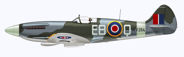 P-51 Mustang