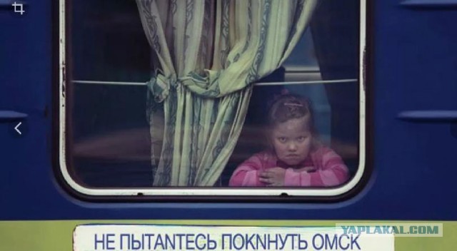 Омичке в голову попала выброшенная из окна бутылка из-под алкоголя