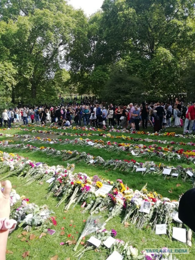 Цветы у Букингемского дворца