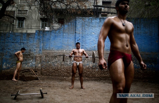 Школа индийской борьбы Кушти