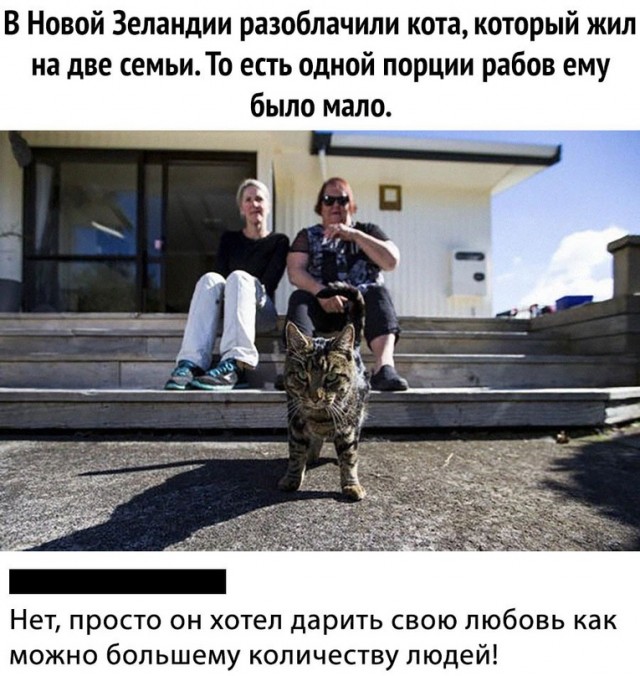 Немного картинок для настроения - 137